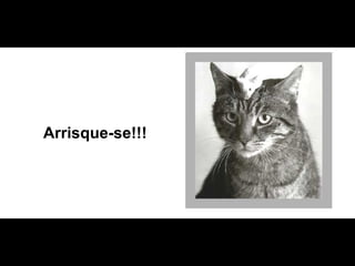 Arrisque-se!!! 
