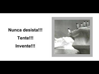 Nunca desista!!! Tente!!! Invente!!! 