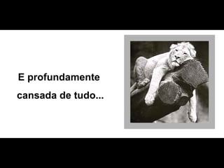 E profundamente  cansada de tudo... 