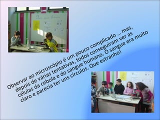 Observar ao microscópio é um pouco complicado … mas, depois de várias tentativas, todos conseguiram ver as células da cebola e do sangue humano. O sangue era muito claro e parecia ter uns círculos. Que estranho!  