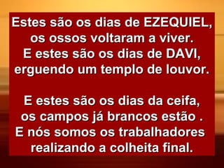 Estes são os dias de EZEQUIEL,Estes são os dias de EZEQUIEL,
os ossos voltaram a viver.os ossos voltaram a viver.
E estes são os dias de DAVI,E estes são os dias de DAVI,
erguendo um templo de louvor.erguendo um templo de louvor.
E estes são os dias da ceifa,E estes são os dias da ceifa,
os campos já brancos estão .os campos já brancos estão .
E nós somos os trabalhadoresE nós somos os trabalhadores
realizando a colheita final.realizando a colheita final.
 