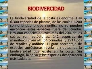 La biodiversidad de la costa es enorme. Hay
6.300 especies de plantas, de las cuales 1.200
son oriundas lo que significa no se pueden
encontrar estas especies fuera de Ecuador.
Hay 800 especies de aves más del 20% de las
cuáles son autóctonas. 142 especies de
mamíferos viven allí (54 oriundas) y 253 tipos
de reptiles y anfibios. El gran porcentaje de
especies autóctonas revela la riqueza de la
biodiversidad que existe en la costa. Sin
embargo, la selva y los especies desaparecen
más cada día.
 