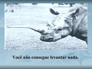 Você não consegue levantar nada.   