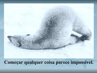 Começar qualquer coisa parece impossível. 