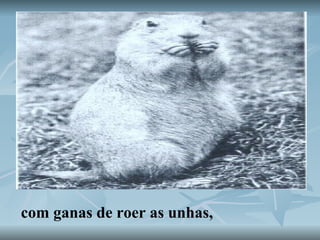 com ganas de roer as unhas,  