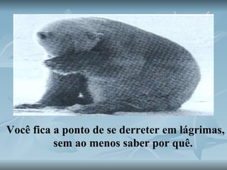 Você fica a ponto de se derreter em lágrimas, sem ao menos saber por quê. 