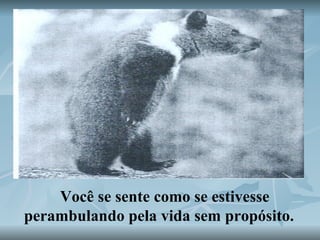 Você se sente como se estivesse perambulando pela vida sem propósito.   
