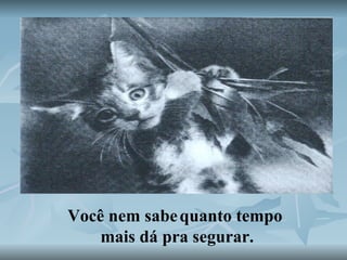 Você nem sabe   quanto tempo mais dá pra segurar. 