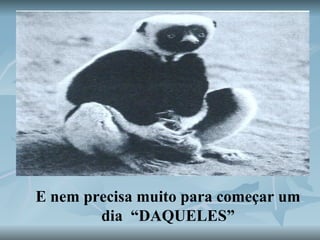 E nem precisa muito para começar um dia   “DAQUELES” 