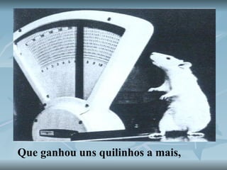 Que ganhou uns quilinhos a mais,   
