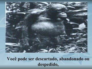 Você pode ser descartado, abandonado ou despedido, 