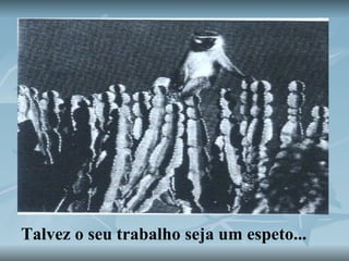 Talvez o seu trabalho seja um espeto...   