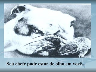 Seu chefe pode estar de olho em você... 