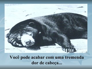 Você pode acabar com uma tremenda dor de cabeça... 