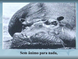 Sem ânimo para nada,   