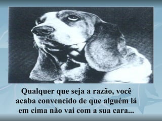 Qualquer que seja a razão, você acaba convencido de que alguém lá em cima não vai com a sua cara... 
