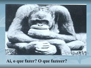 Ai, o que fazer? O que fazeeer?   