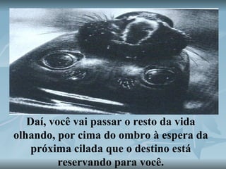 Daí, você vai passar o resto da vida olhando, por cima do ombro à espera da próxima cilada que o destino está reservando para você. 