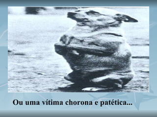 Ou uma vítima chorona e patética...  