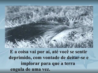 E a coisa vai por aí, até você se sentir deprimido, com vontade de deitar-se e implorar para que a terra  engula de uma vez.   