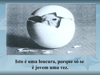 Isto é uma loucura, porque só se  é jovem uma vez. 