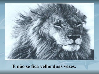 E não se fica velho duas vezes.   