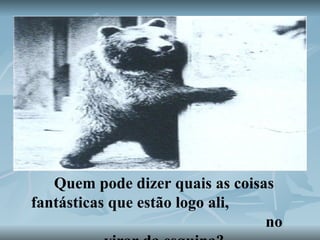 Quem pode dizer quais as coisas fantásticas que estão logo ali,  no virar da esquina? 