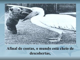 Afinal de contas, o mundo está cheio de descobertas, 