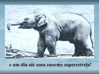 e um dia até uma enorme superestrela! 