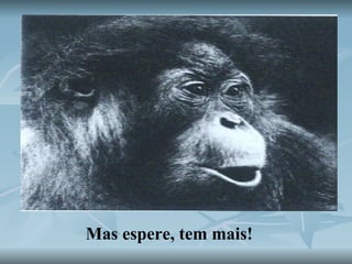 Mas espere, tem mais! 