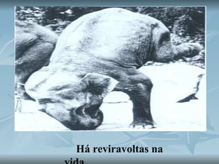 Há reviravoltas na vida,   