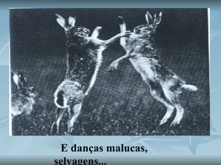 E   danças malucas, selvagens...   