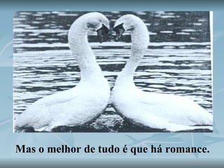 Mas o melhor de tudo é que há romance. 