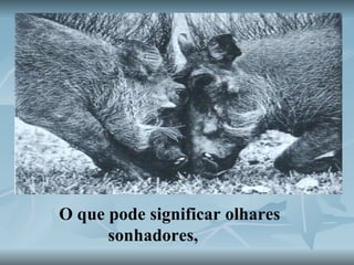 O que pode significar olhares sonhadores,   