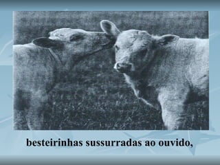 besteirinhas sussurradas ao ouvido, 