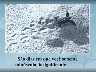 São dias em que você se sente minúsculo, insignificante,   