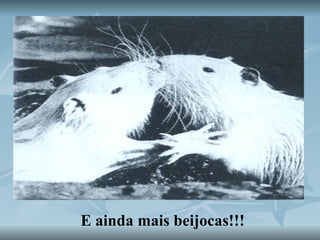 E ainda mais beijocas!!! 