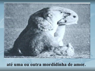 até uma ou outra mordidinha de amor.  