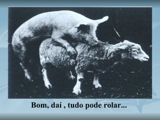 Bom, daí , tudo pode rolar... 