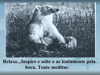 Relaxe...Inspire e solte o ar lentamente pela boca. Tente meditar. 