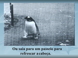 Ou saia para um passeio para refrescar a   cabeça.   