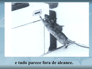 e tudo parece fora de alcance. 