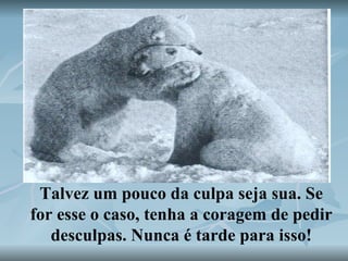 Talvez um pouco da culpa seja sua. Se for esse o caso, tenha a coragem de pedir desculpas. Nunca é tarde para isso! 