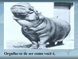 Orgulhe-se de ser como você é,  