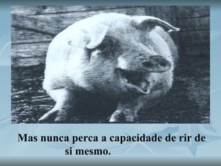 Mas nunca perca a capacidade de rir de si mesmo.  