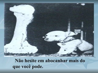 Não hesite em abocanhar mais do que você pode.  