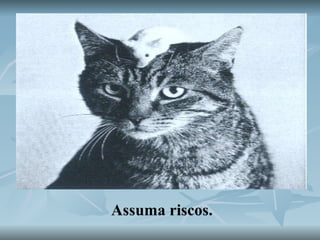 Assuma riscos. 