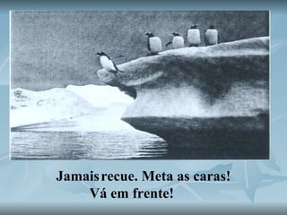 Jamais   recue. Meta as caras! Vá em frente!   
