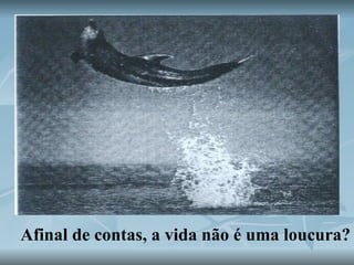 Afinal de contas, a vida não é uma loucura? 