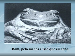 Bom, pelo menos é isso que eu acho. 